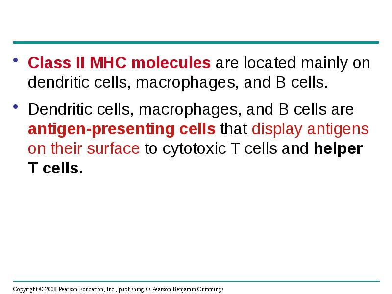 Class II MHC molecules are located mainly on dendritic cells, macrophages, Class II MHC molecules are located mainly on dendritic cells, macrophages,