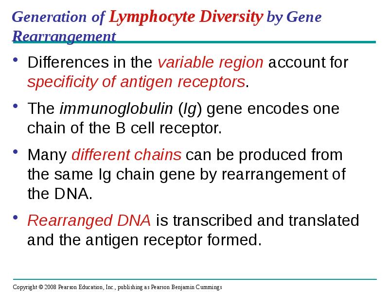 Generation of Lymphocyte Diversity by Gene Rearrangement
Differences in the variable Generation of Lymphocyte Diversity by Gene Rearrangement
Differences in the variable