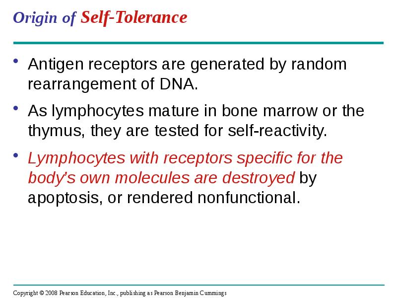 Origin of Self-Tolerance
Antigen receptors are generated by random rearrangement of Origin of Self-Tolerance
Antigen receptors are generated by random rearrangement of