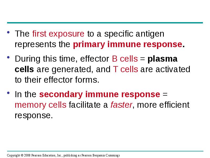 The first exposure to a specific antigen represents the primary immune The first exposure to a specific antigen represents the primary immune