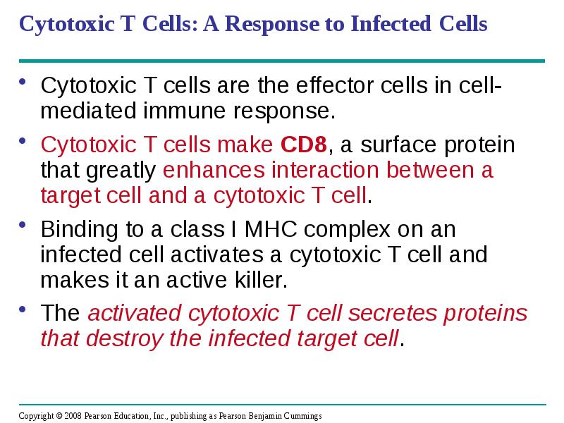 Cytotoxic T Cells: A Response to Infected Cells
Cytotoxic T cells Cytotoxic T Cells: A Response to Infected Cells
Cytotoxic T cells