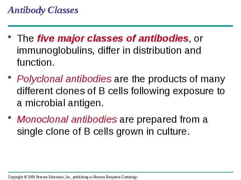 Antibody Classes
The five major classes of antibodies, or immunoglobulins, differ Antibody Classes
The five major classes of antibodies, or immunoglobulins, differ
