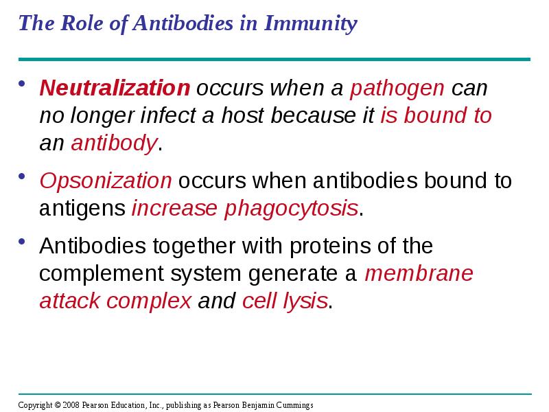 The Role of Antibodies in Immunity
Neutralization occurs when a pathogen The Role of Antibodies in Immunity
Neutralization occurs when a pathogen