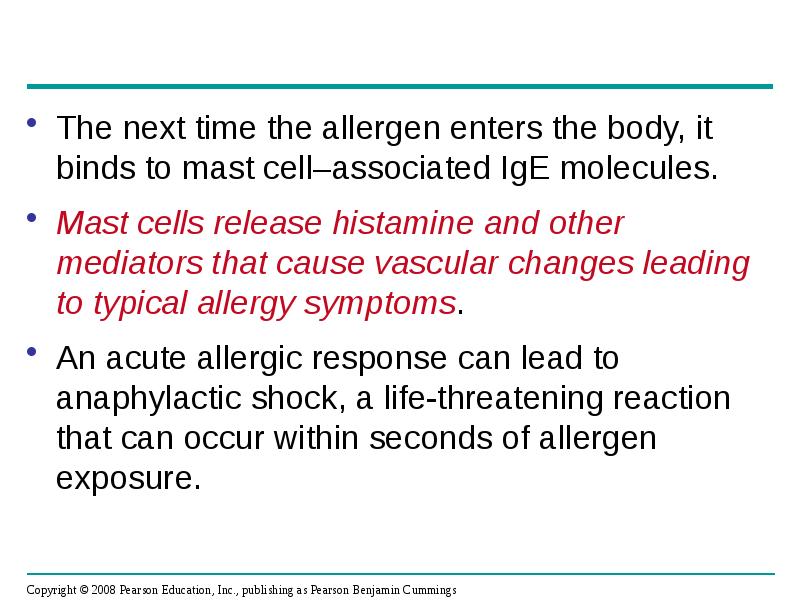 The next time the allergen enters the body, it binds to The next time the allergen enters the body, it binds to
