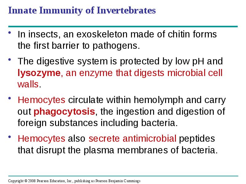Innate Immunity of Invertebrates
In insects, an exoskeleton made of chitin Innate Immunity of Invertebrates
In insects, an exoskeleton made of chitin