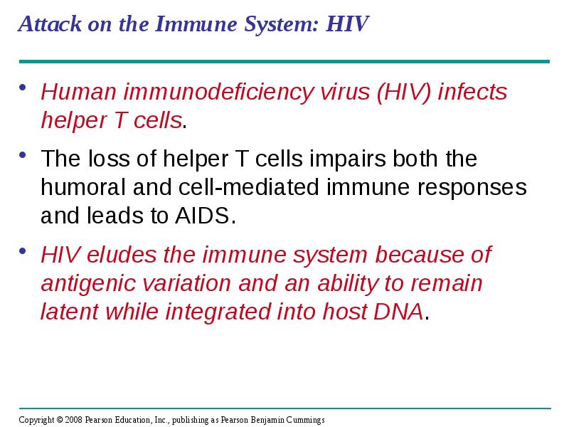 Attack on the Immune System: HIV
Human immunodeficiency virus (HIV) infects Attack on the Immune System: HIV
Human immunodeficiency virus (HIV) infects