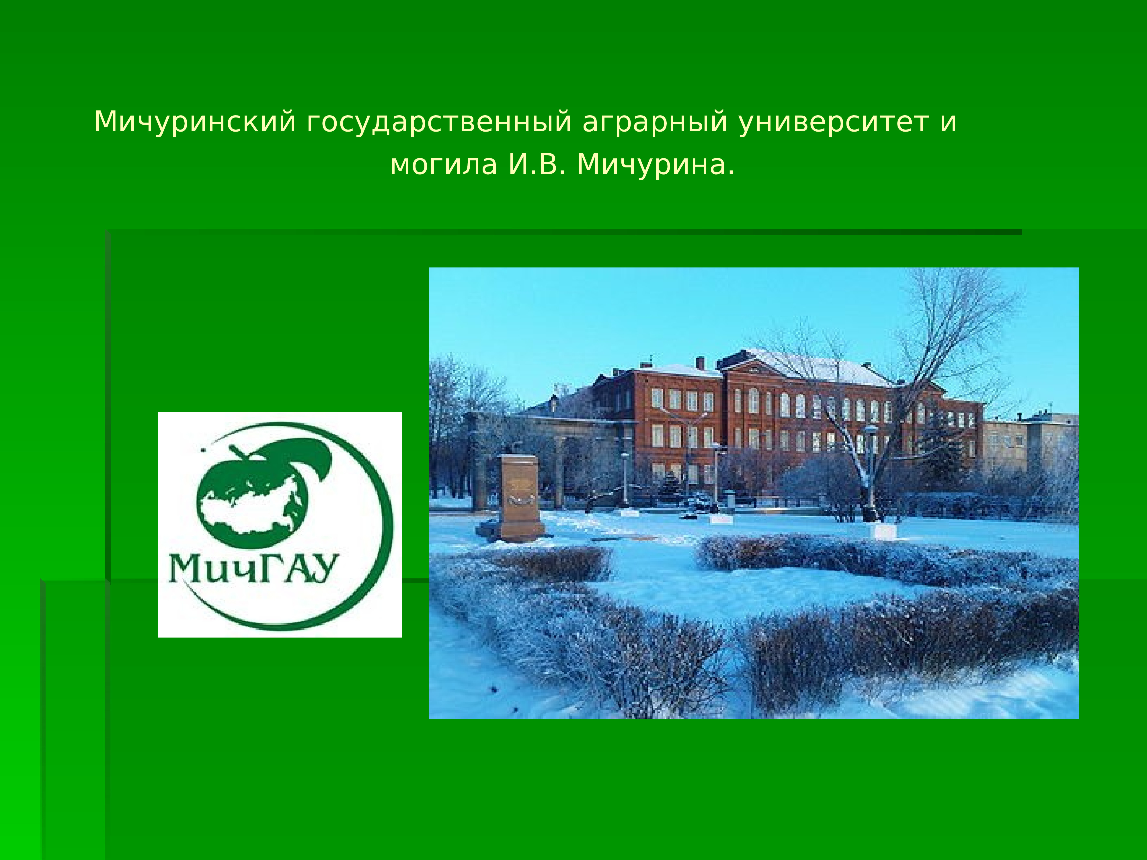 Мичурински университет