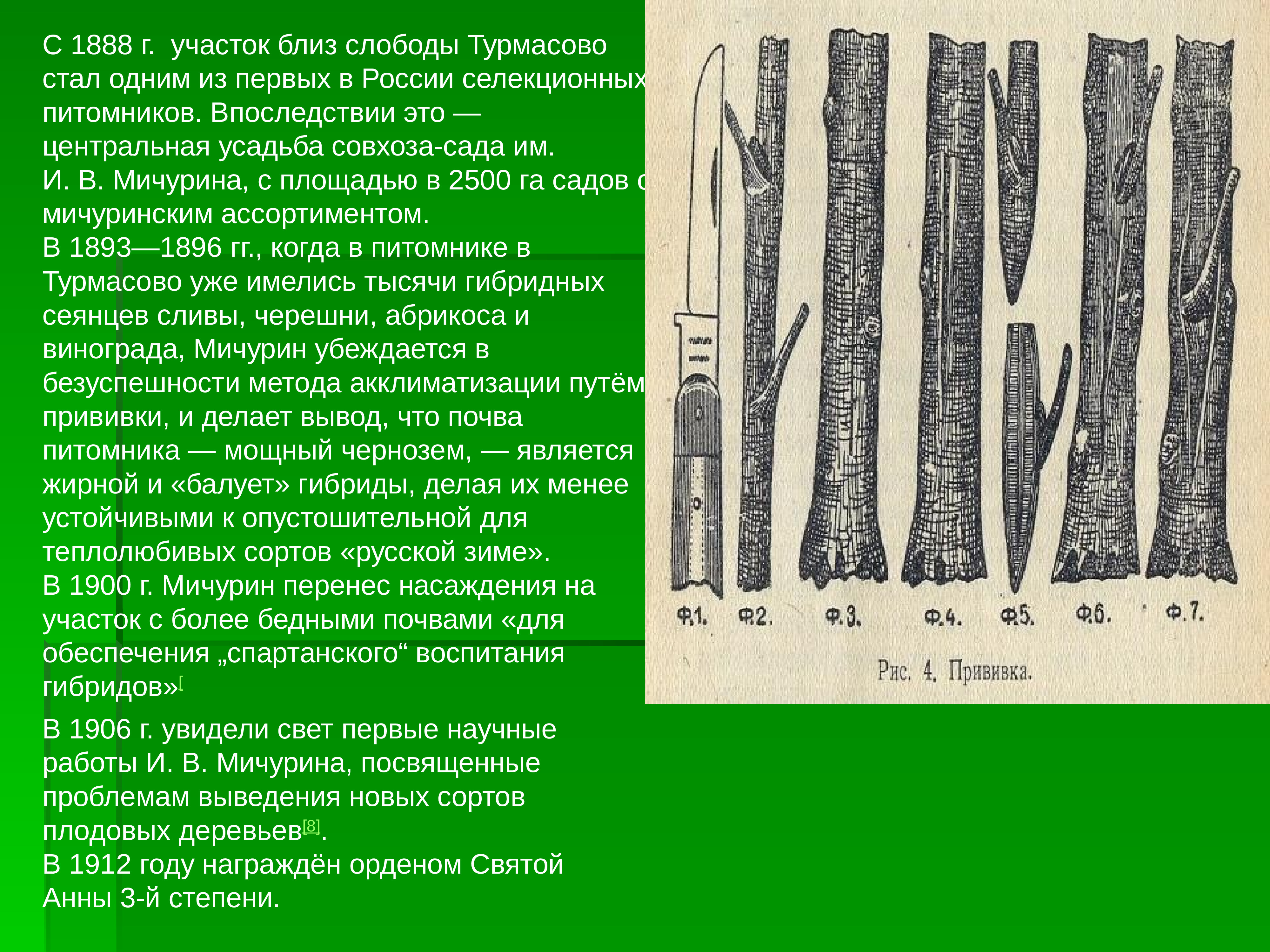 Впоследствии это. Первый Селекционный питомник России 1888. Близ слободы Турмасово. Селекционный разрез это.