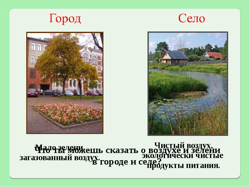 Проект город и село