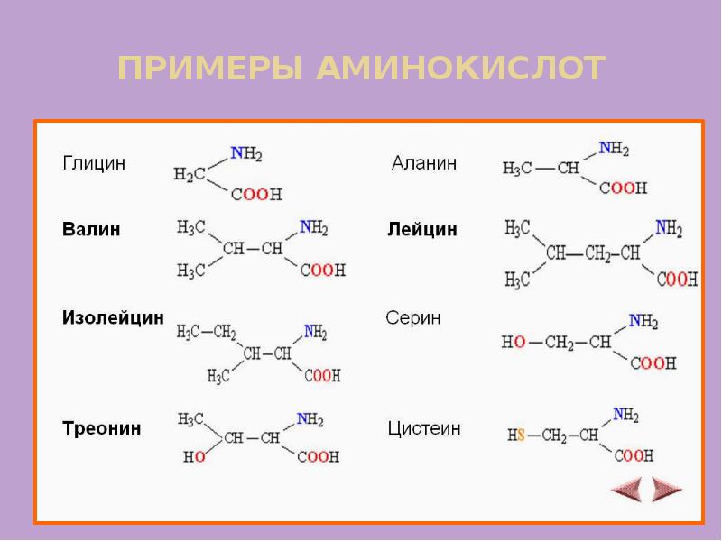 Кетогенные аминокислоты. Аминокислоты примеры. Гликогенные и кетогенные аминокислоты. Гликогенные аминокислоты примеры. Синтетические аминокислоты.