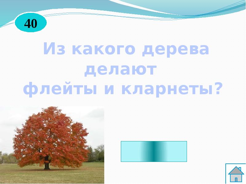 Из какого дерева делают. Из каких деревьев что делают. Из какого дерева делают тетради. Дерево проводит звук. Из какого дерево делают призиотив.