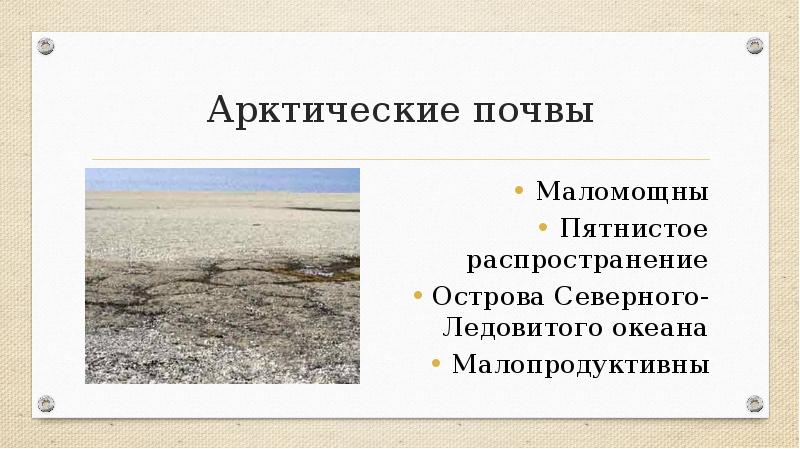 Суждение которое верно описывает распространение почв. Арктические почвы. Арктические почвы рисунок.