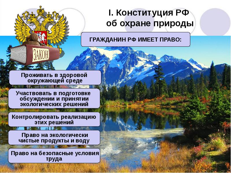 Презентация к уроку обществознания 7 класс закон на страже природы