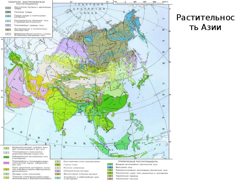 Карта физико географического районирования евразии