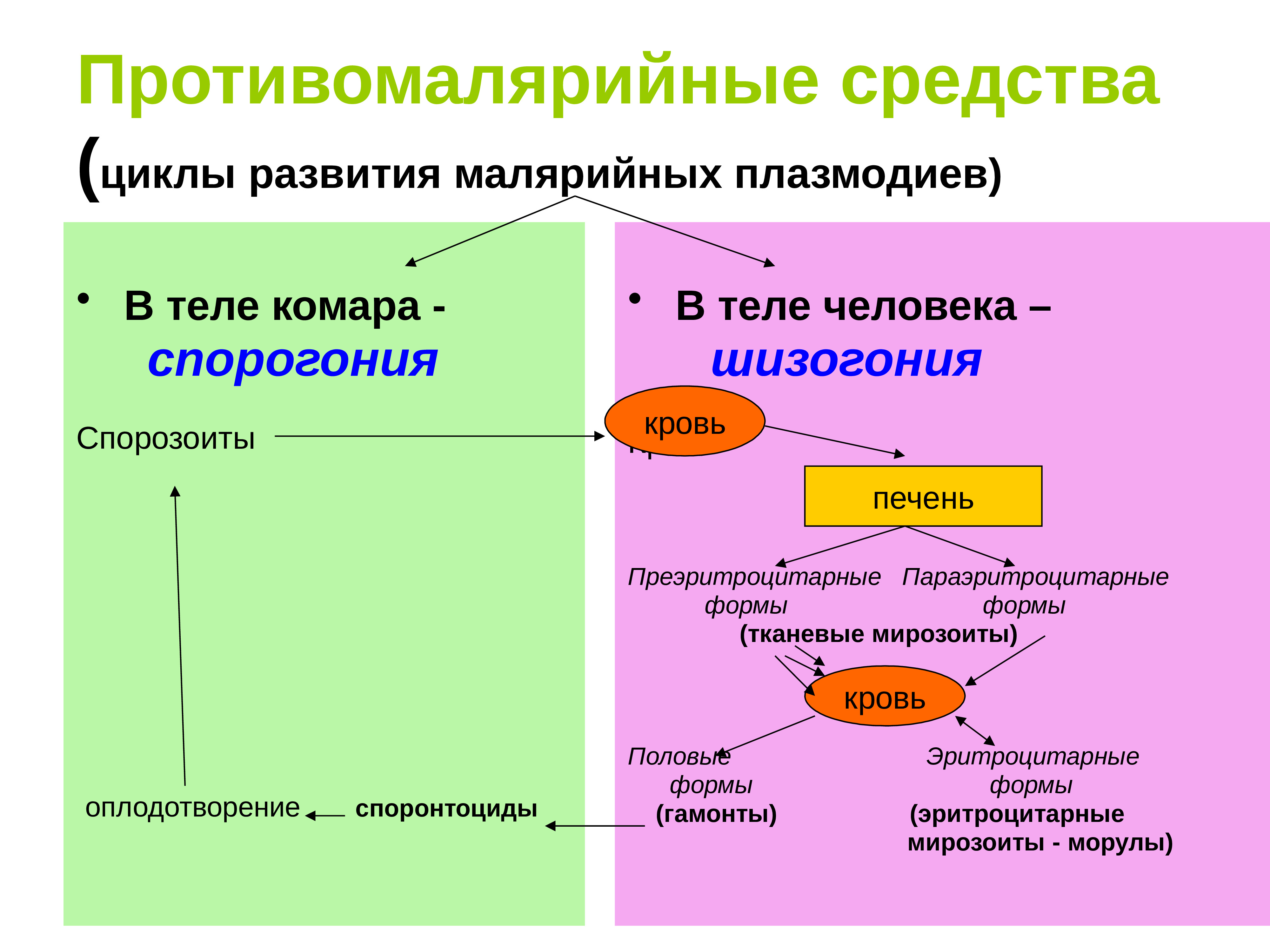 Антипротозойные средства презентация