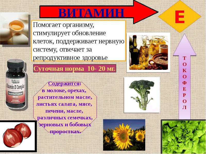 Презентация витамины 5 класс технология