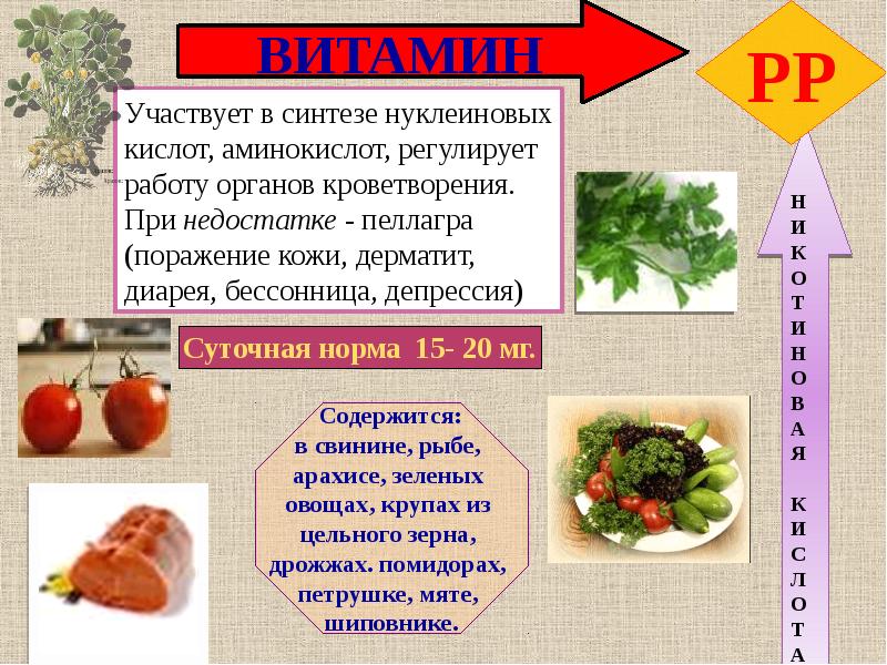 Презентация витамины 5 класс технология