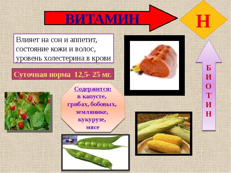 Презентация витамины 5 класс технология