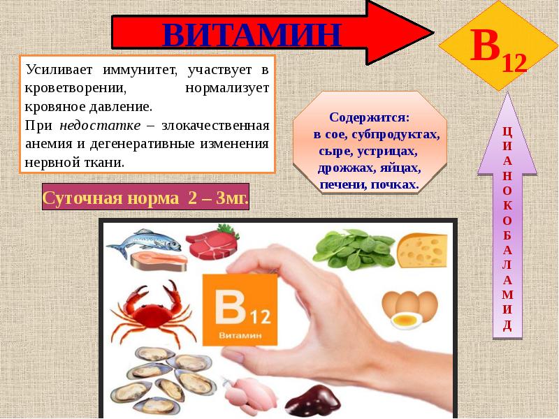 Витамины доклад презентация