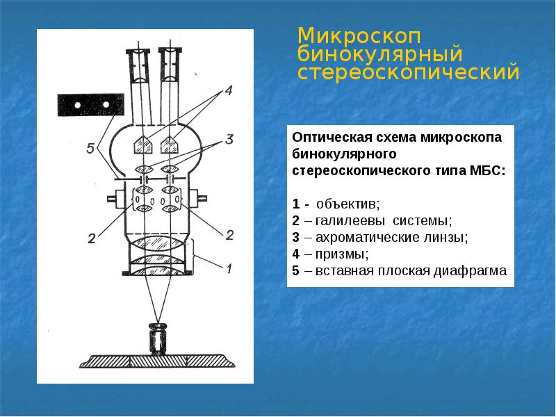 Двоится изображение в бинокулярном микроскопе