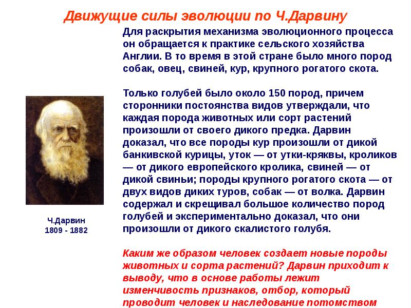 Эволюционное учение изучает уровень. История эволюционного учения. Кто создал учение об эволюции. Эволюционное учение доклад.