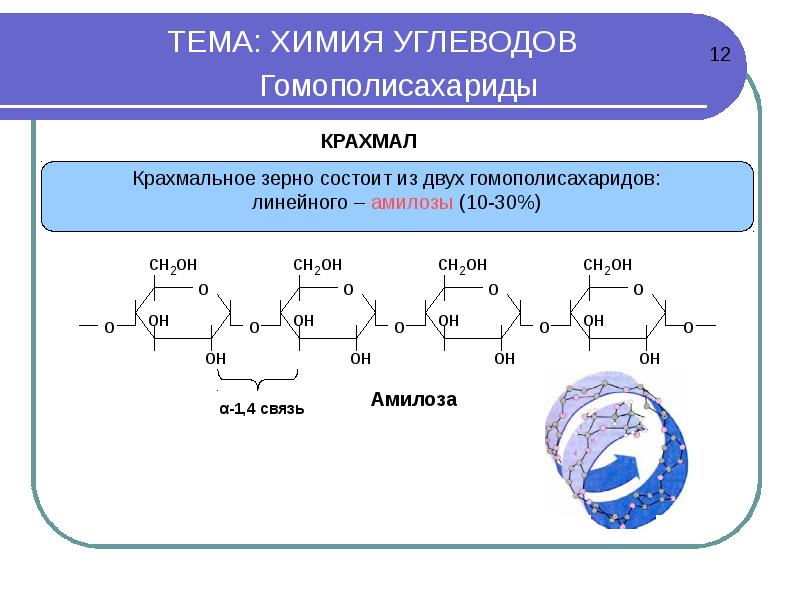 Презентация по углеводам