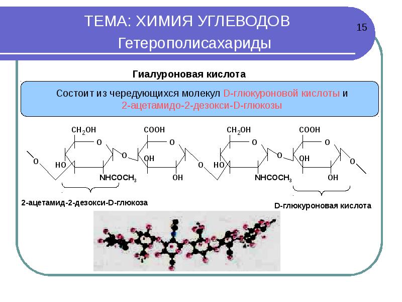 Презентация про углеводы по химии