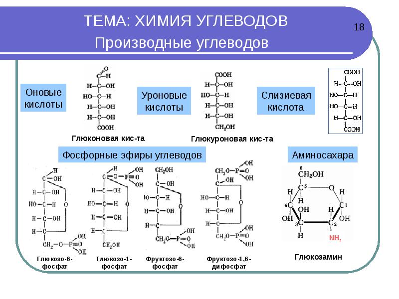 Презентация про углеводы по химии