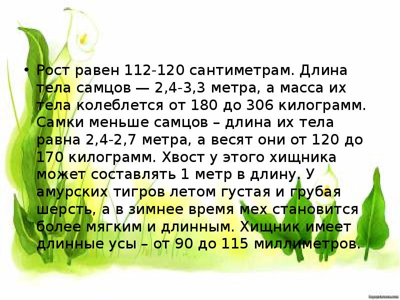 Ростов равен. 120 См рост. Равный рост. 120 См в длину. Рост 120 см ылзрач.