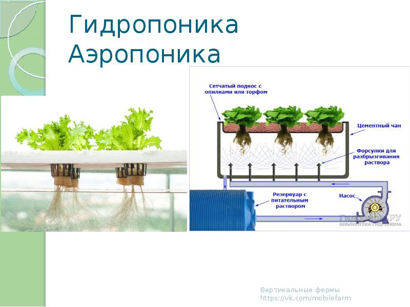 Проекты по гидропонике