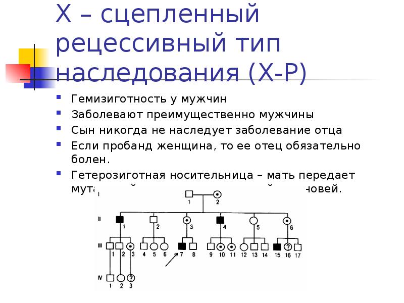 Рецессивный сцеплен с полом