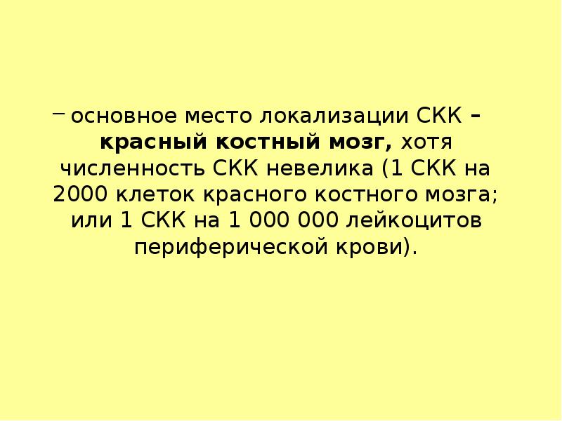 основное место локализации СКК – красный костный мозг, хотя численность СКК