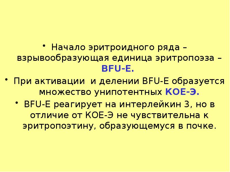 Начало эритроидного ряда – взрывообразующая единица эритропоэза – BFU-E.  Начало