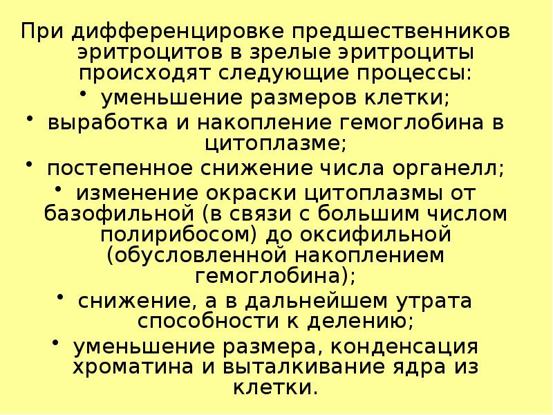При дифференцировке предшественников эритроцитов в зрелые эритроциты происходят следующие процессы: При