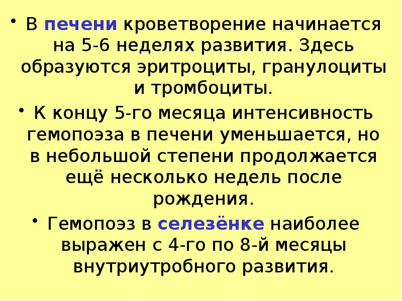 В печени кроветворение начинается на 5-6 неделях развития. Здесь образуются эритроциты,