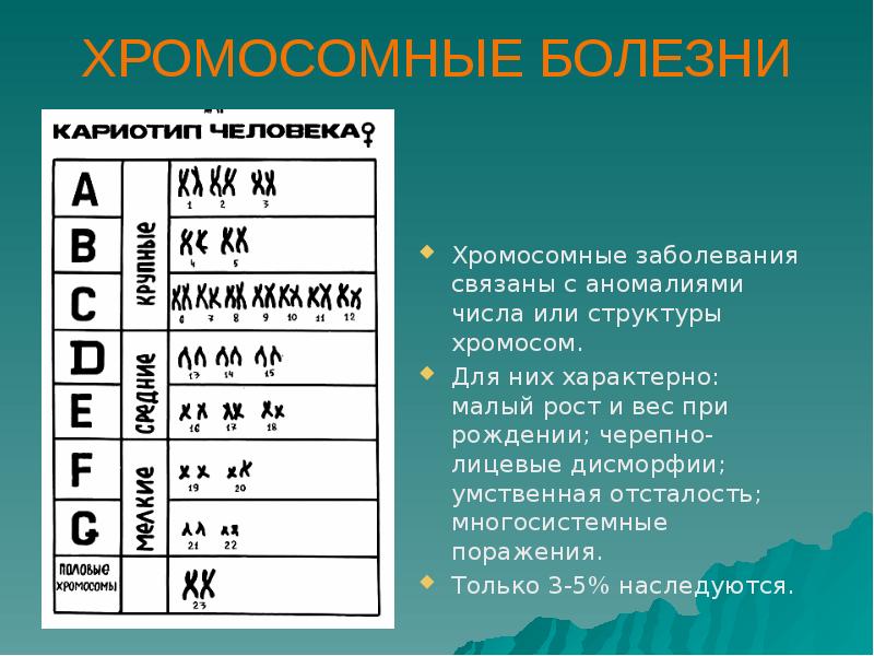 Наследственные болезни человека презентация 9 класс