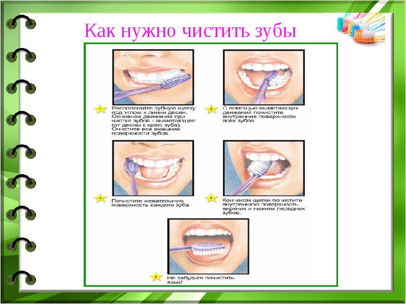 Проект береги зубы смолоду