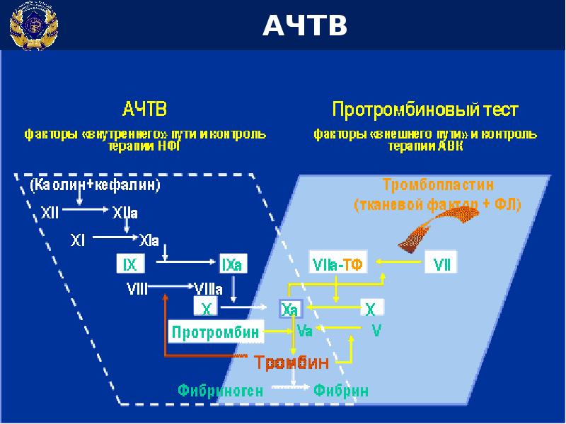 Активированное тромбопластиновое время