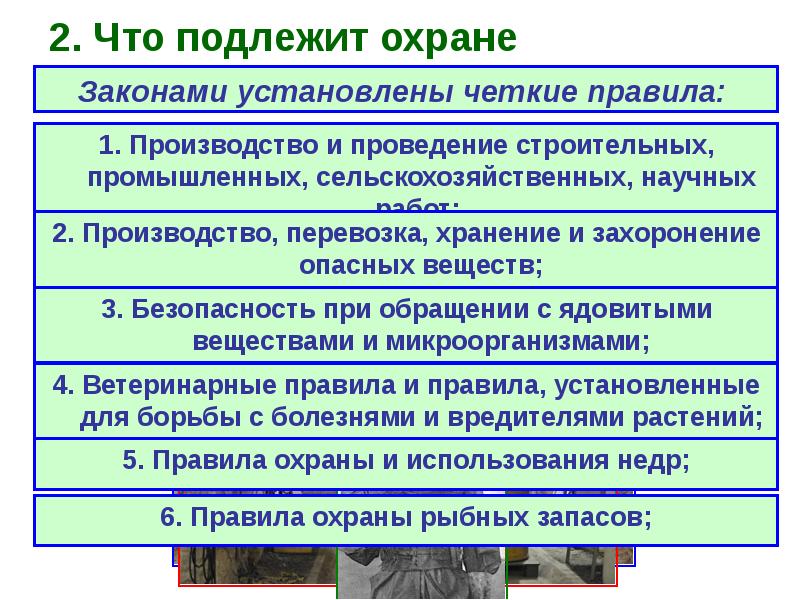 Проект на тему закон на страже природы