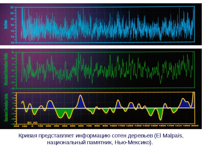 Изучение динамики