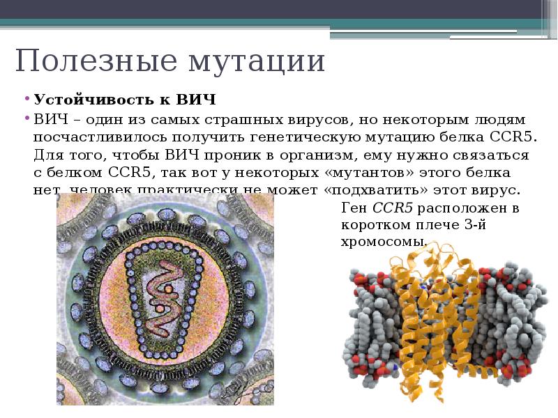 Вредные и полезные мутации проект по биологии