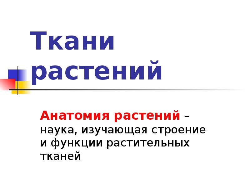 Ткани растений Анатомия растений – наука, изучающая строение и функции растительных