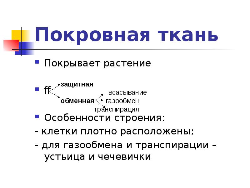 Покровная ткань Покрывает растение ff Особенности строения: - клетки плотно расположены;