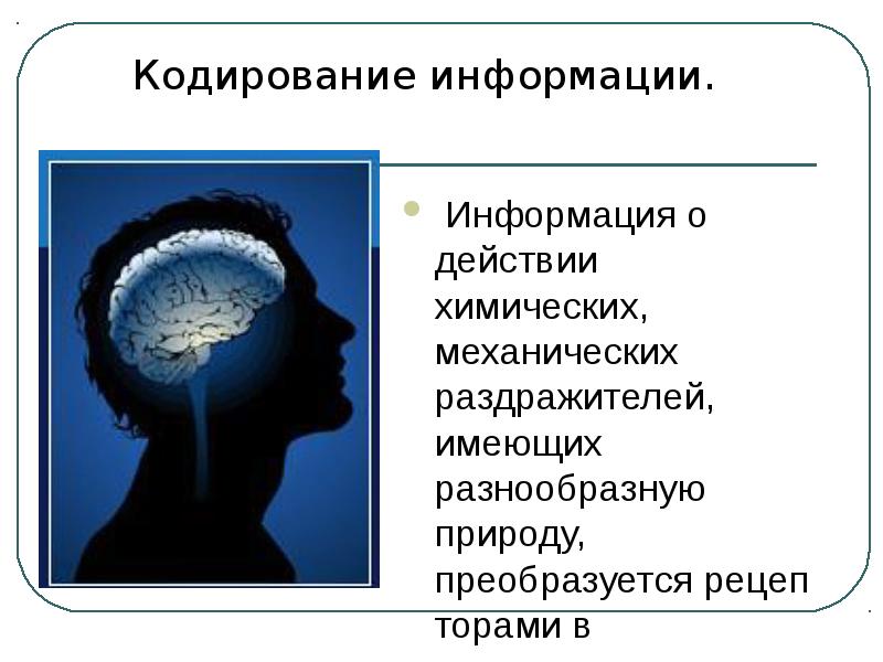 Кодирование сигналов в нервной системе. Кодирование сигналов в нервной системе