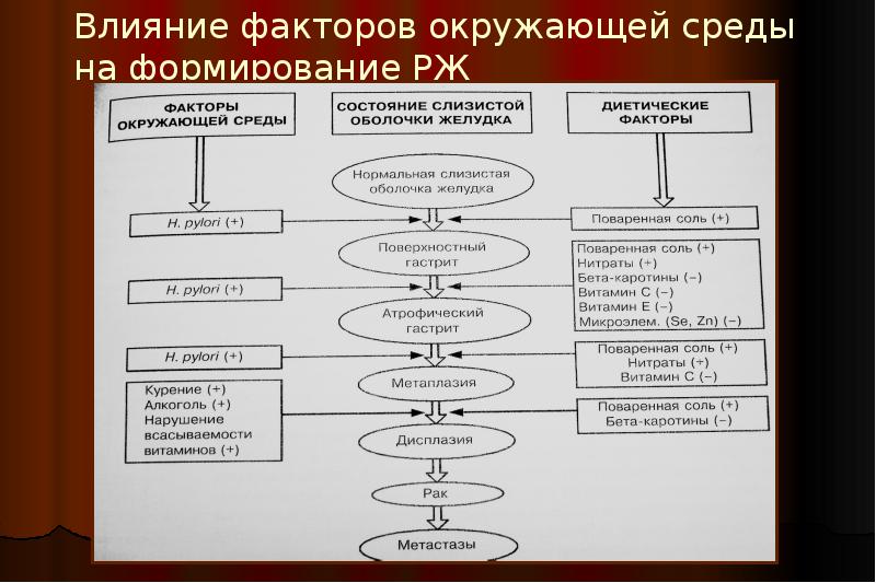 Рак желудка презентация