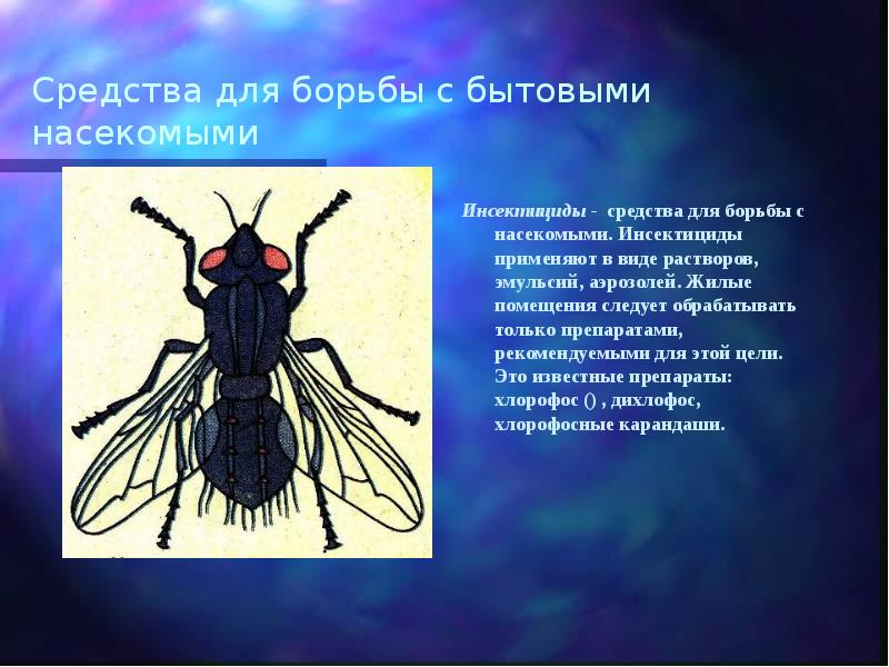 Средства для борьбы с бытовыми насекомыми Инсектициды - средства для борьбы