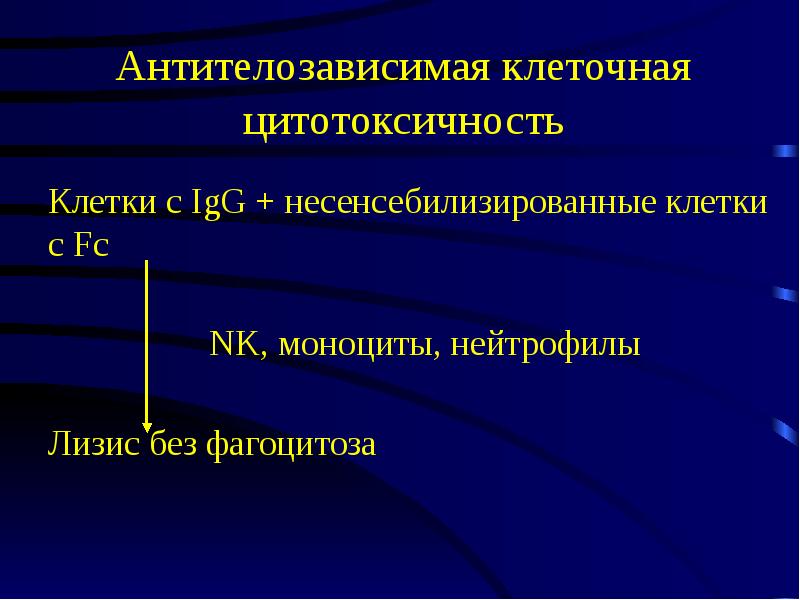 Антителозависимая клеточная цитотоксичность схема