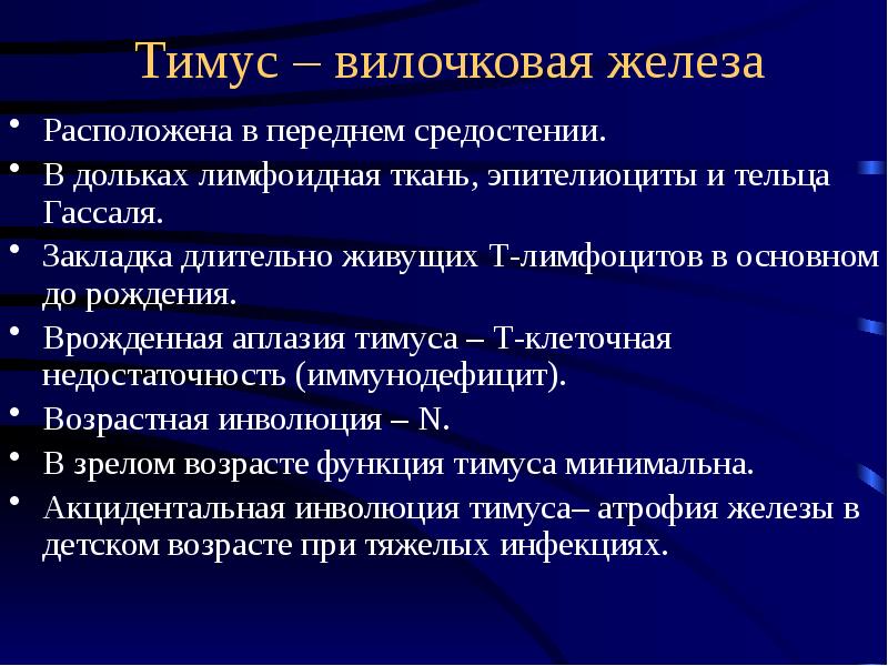 Тимус презентация иммунология