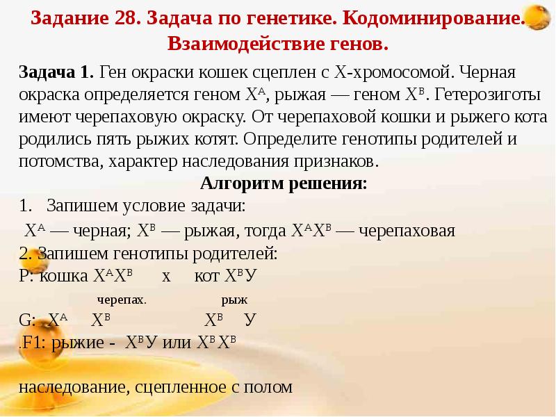 Кодоминированием является