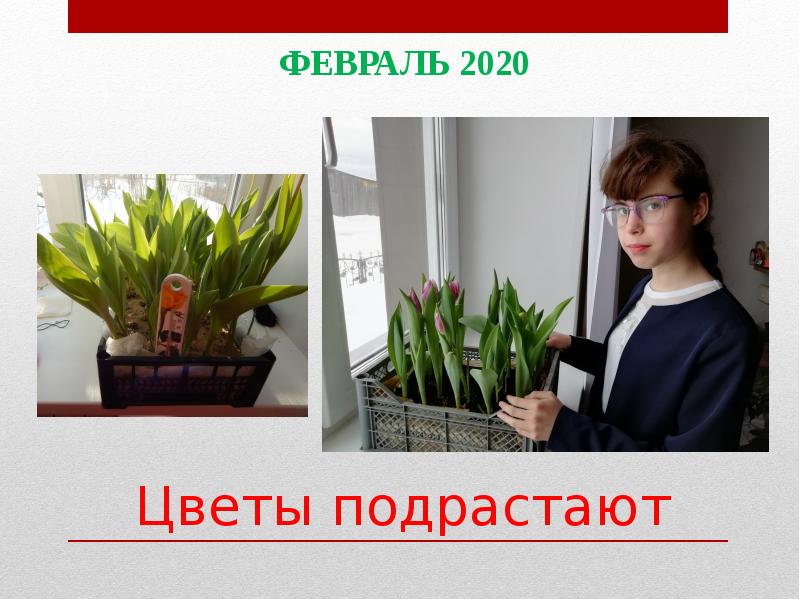 Доклад 2020